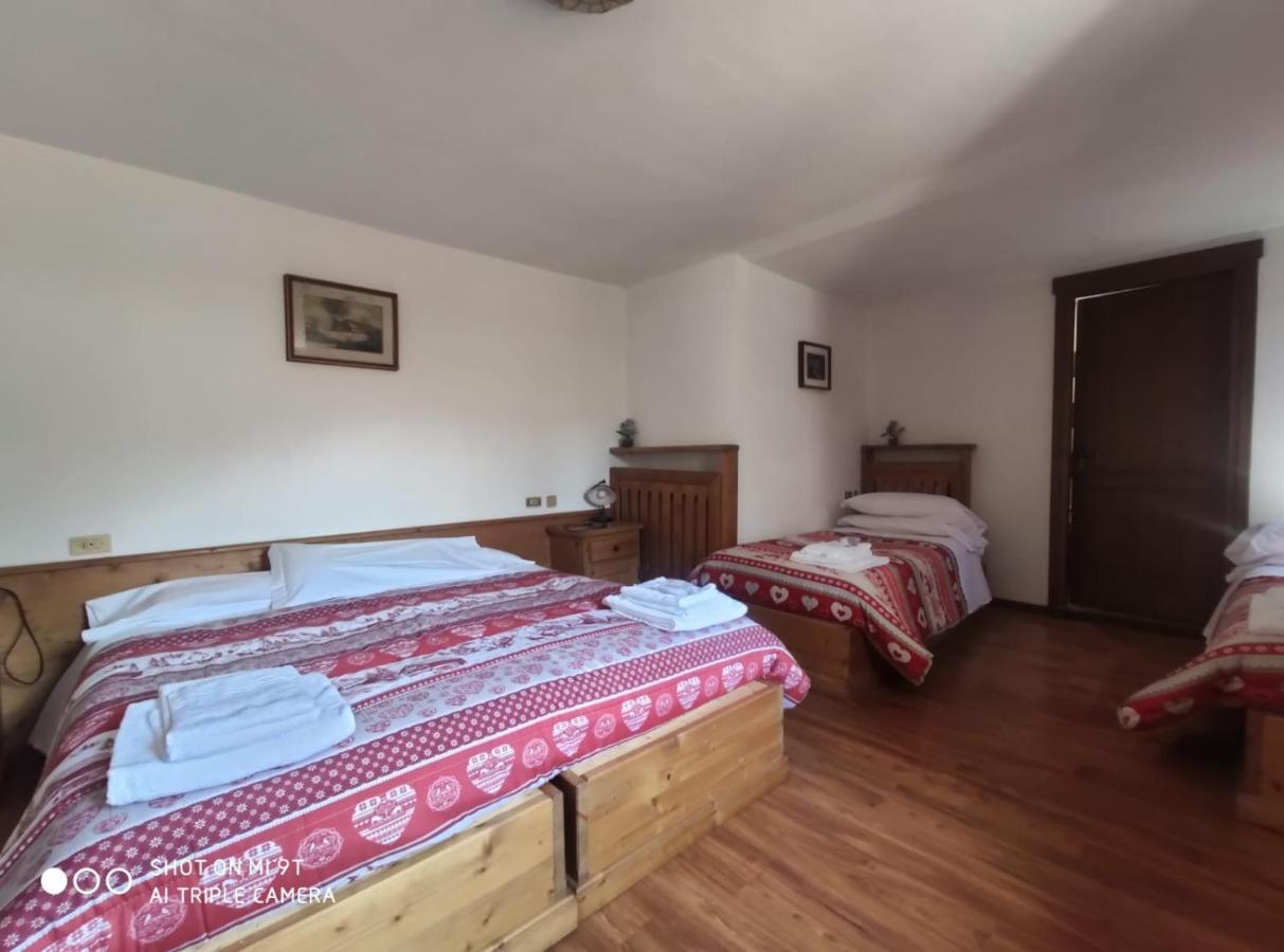 La Favorita Bed & Breakfast Lozzo Cadore Exterior photo