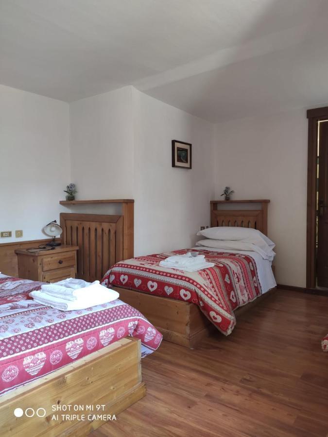 La Favorita Bed & Breakfast Lozzo Cadore Exterior photo